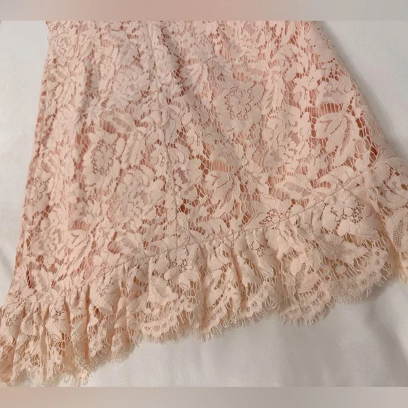 Revolve Aijek eyelash pink lace mini dress keyhole back - Picture 10 of 16